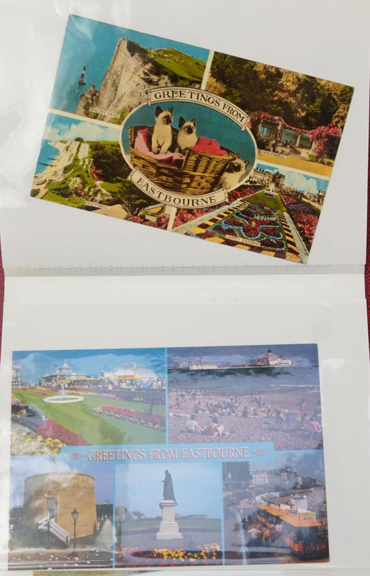 Collection of Eastbourne postcards arranged in two albums including Holywell : For further - Bild 7 aus 14