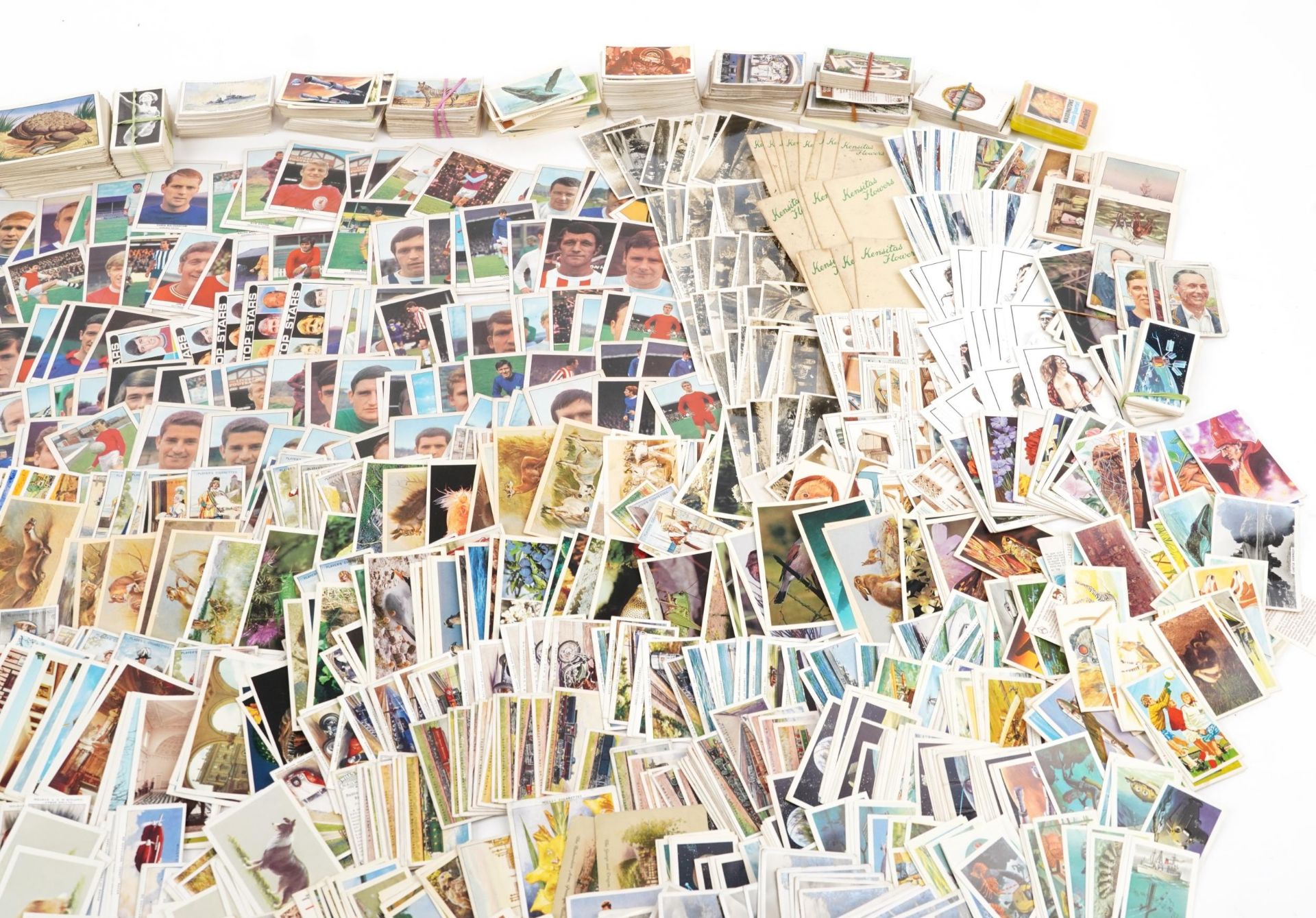 Large collection of cigarette cards : For further information on this lot please contact the - Bild 3 aus 5