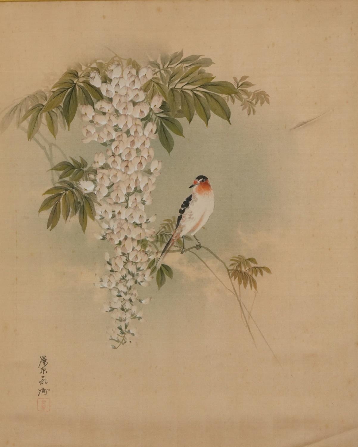 Bird of paradise amongst flowers, Chinese watercolour on silk with character marks and red seal