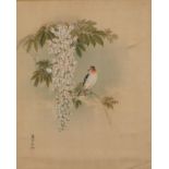 Bird of paradise amongst flowers, Chinese watercolour on silk with character marks and red seal