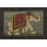Study of an elephant, Indian Mughal school watercolour on silk, mounted, framed and glazed, 31.5cm x