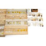 Large collection of early 20th century and later glass microscope specimen slides arranged in cases