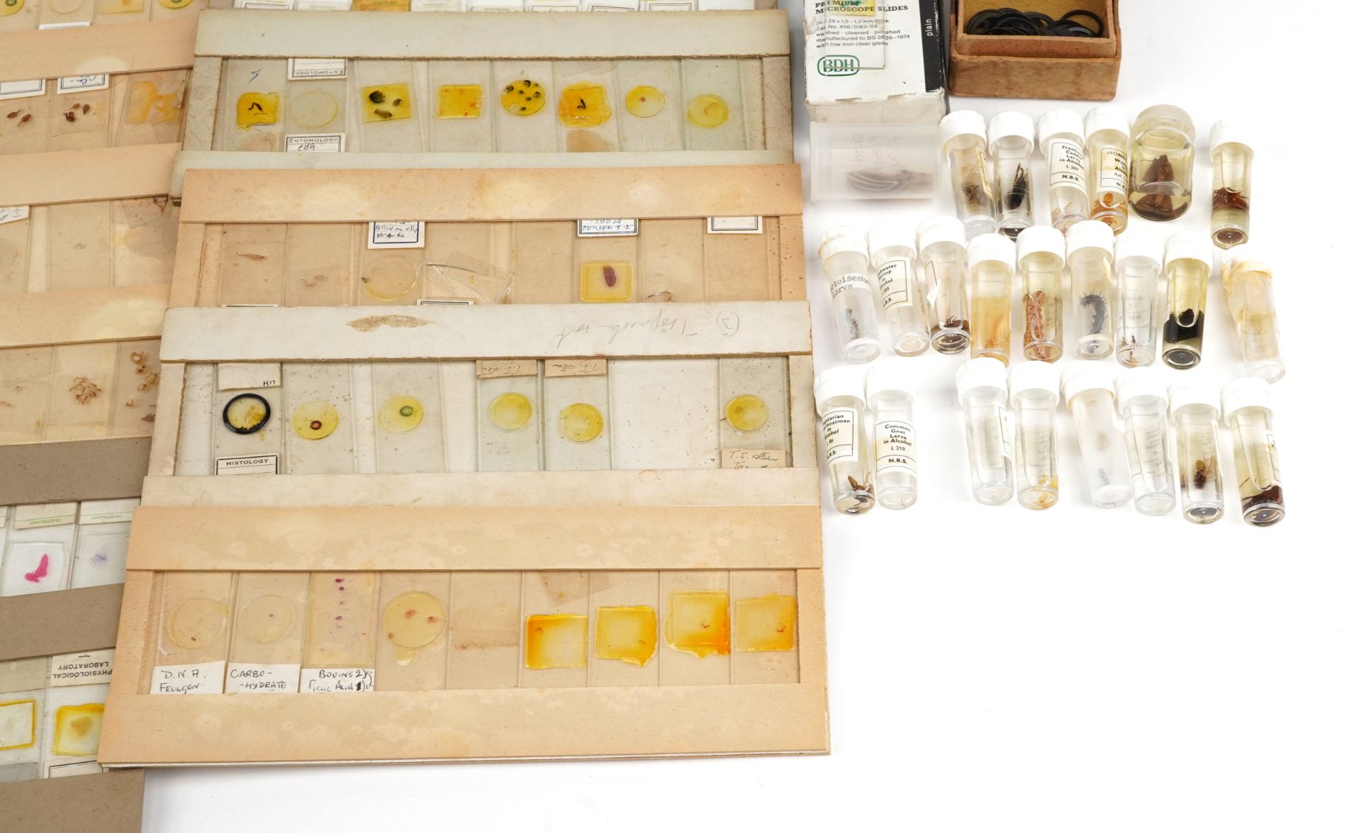 Large collection of early 20th century and later glass microscope specimen slides arranged in cases