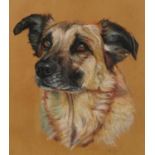 Study of a dog, heightened mixed media, indistinctly signed, possibly J..Py..?, mounted, framed