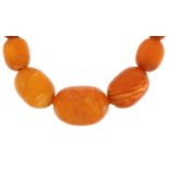 Butterscotch amber coloured graduated bead necklace with 9ct gold clasp, the largest bead 2.4cm