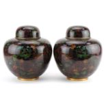 Pair of large Chinese cloisonne ginger jars with covers enamelled with flowers, each 26cm high : For