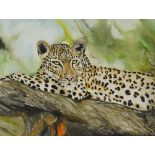Clive Fredriksson - Cheetah on a branch, oil, mounted, framed and glazed, 78cm x 59cm excluding