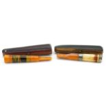 Two large late 19th/early 20th century butterscotch amber cigarette holders comprising one with