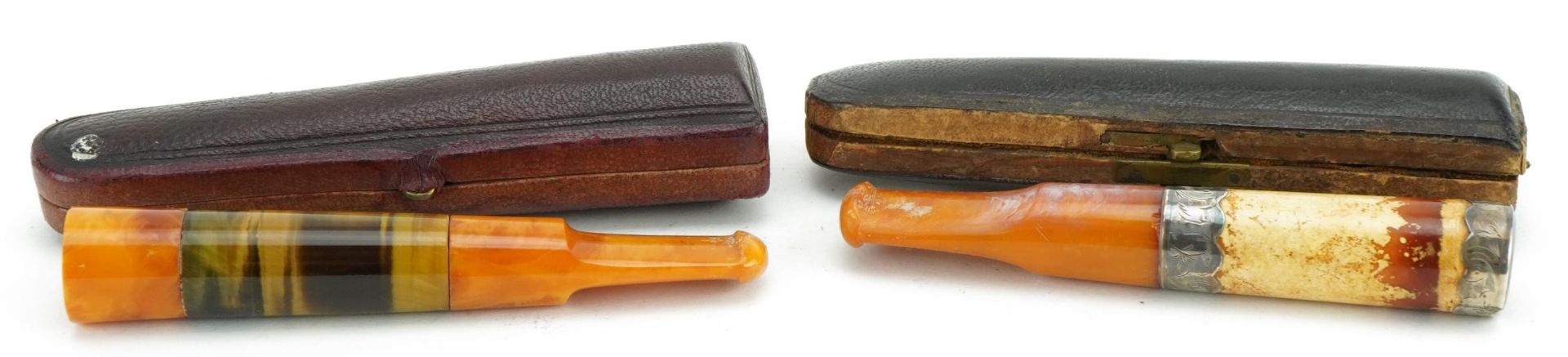 Two large late 19th/early 20th century butterscotch amber cigarette holders comprising one with