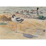 Robert R Greenhalf - Shelduck family with avocet, watercolour, inscribed Parc de Marguerite, details