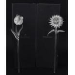 Two Waterford Crystal flowers with boxes comprising Sunflower and Tulip flower, the largest 38cm