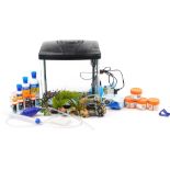 Coldwater fish tank with accessories including food, the tank 40cm H x 37.5cm W x 26cm D : For