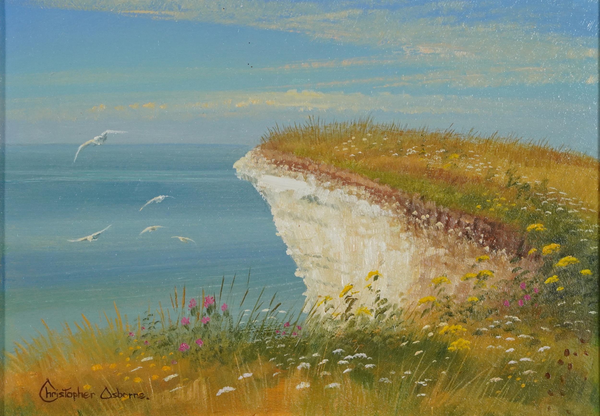 Christopher Osborne - White cliff edge, oil on board, details verso, mounted and framed, 25cm x 17cm