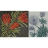 Audrey Scovell - Thistles and Protea, two prints in colour comprising one artist's proof and one