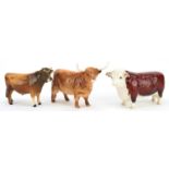 Three Beswick cows including Champion of Champions and Champion Dunsley Coy Boy, the largest 19cm in