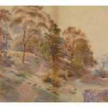 Henry Birtles - Hillside woodland landscape, late 19th century signed watercolour, mounted, framed