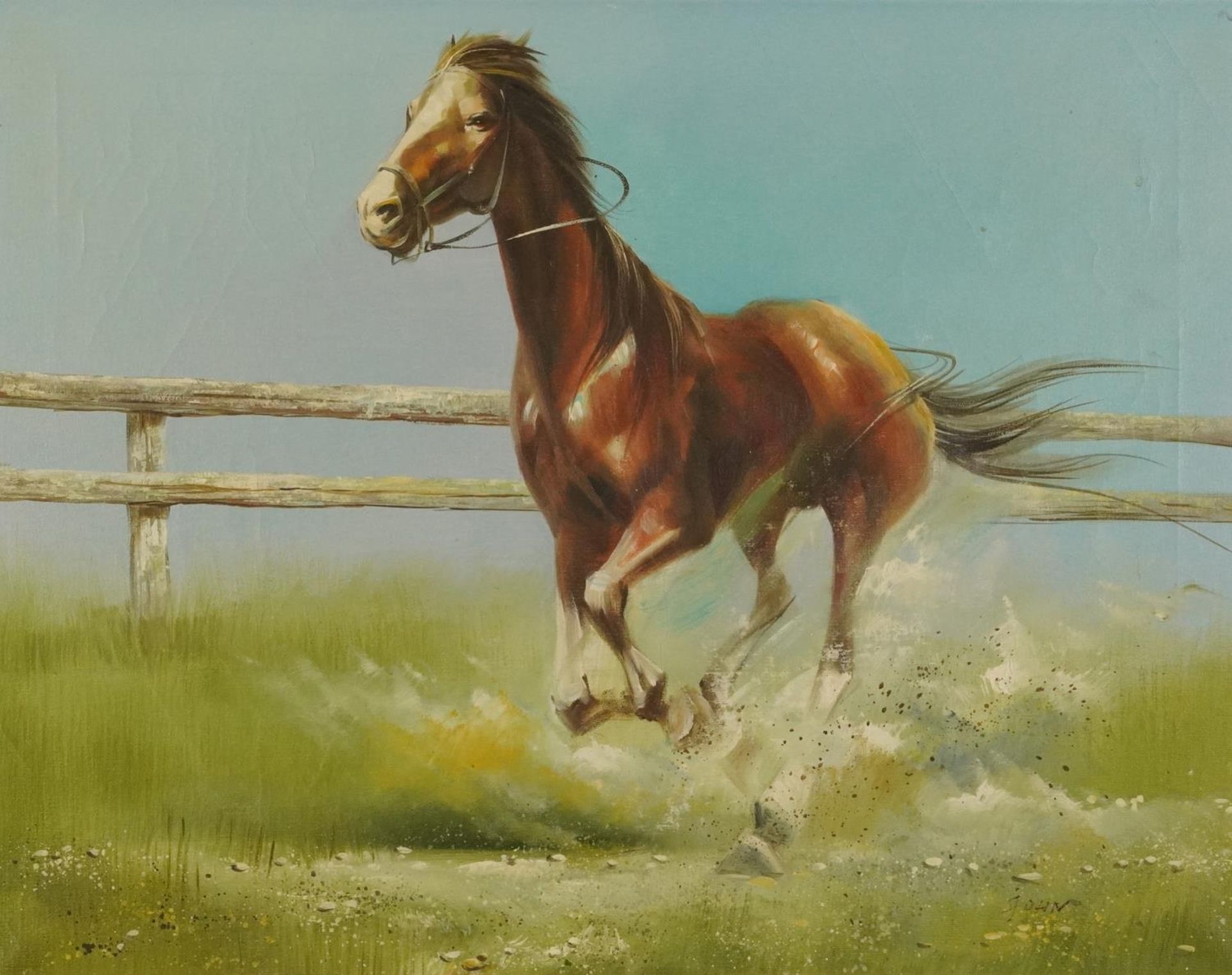 Study of a galloping horse, equestrian interest oil on canvas, indistinctly signed, possibly John, - Image 2 of 8