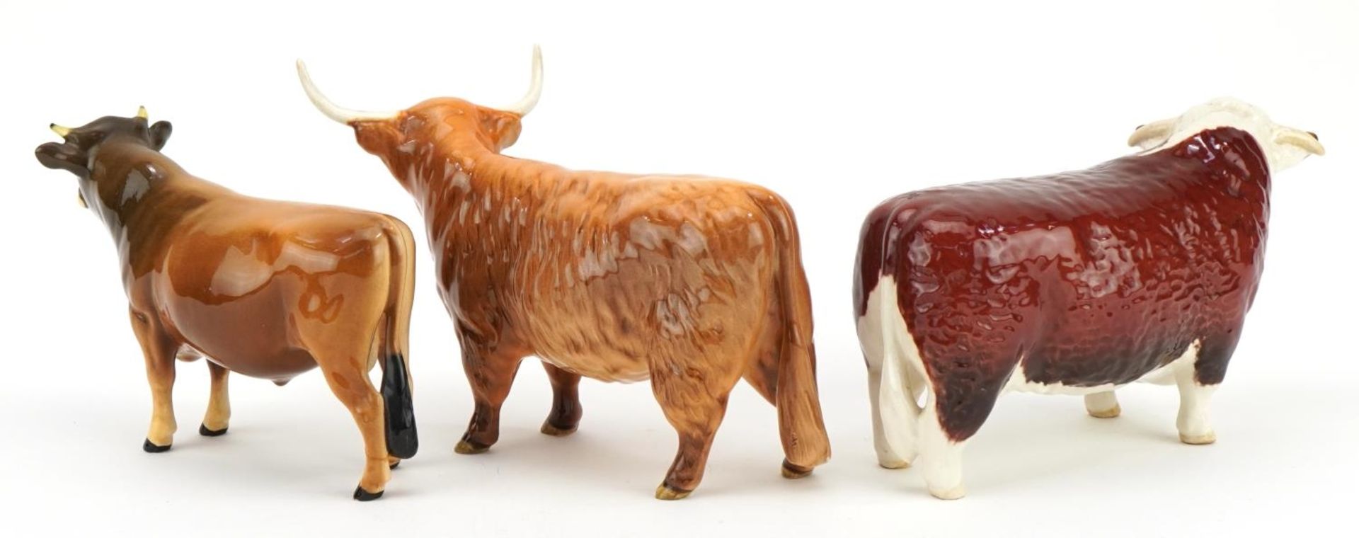 Three Beswick cows including Champion of Champions and Champion Dunsley Coy Boy, the largest 19cm in - Image 3 of 8