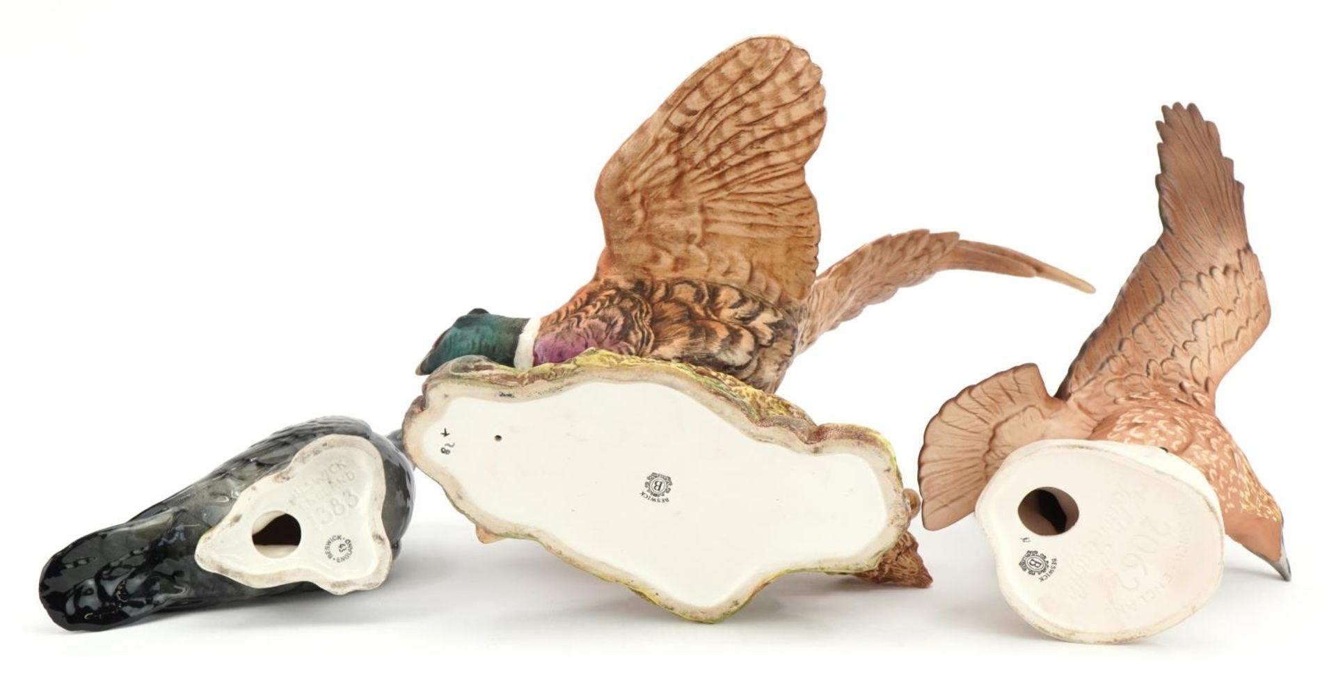 Three Beswick birds, two with matt glaze comprising pheasant, golden eagle and pigeon numbered 1383, - Bild 5 aus 8