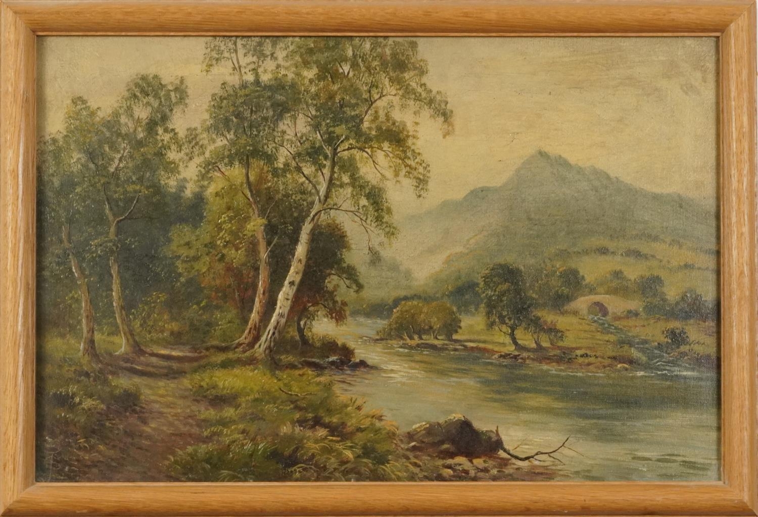 River landscape with woodland and bridge, 19th century oil, indistinctly monogrammed, possibly F - Image 3 of 8