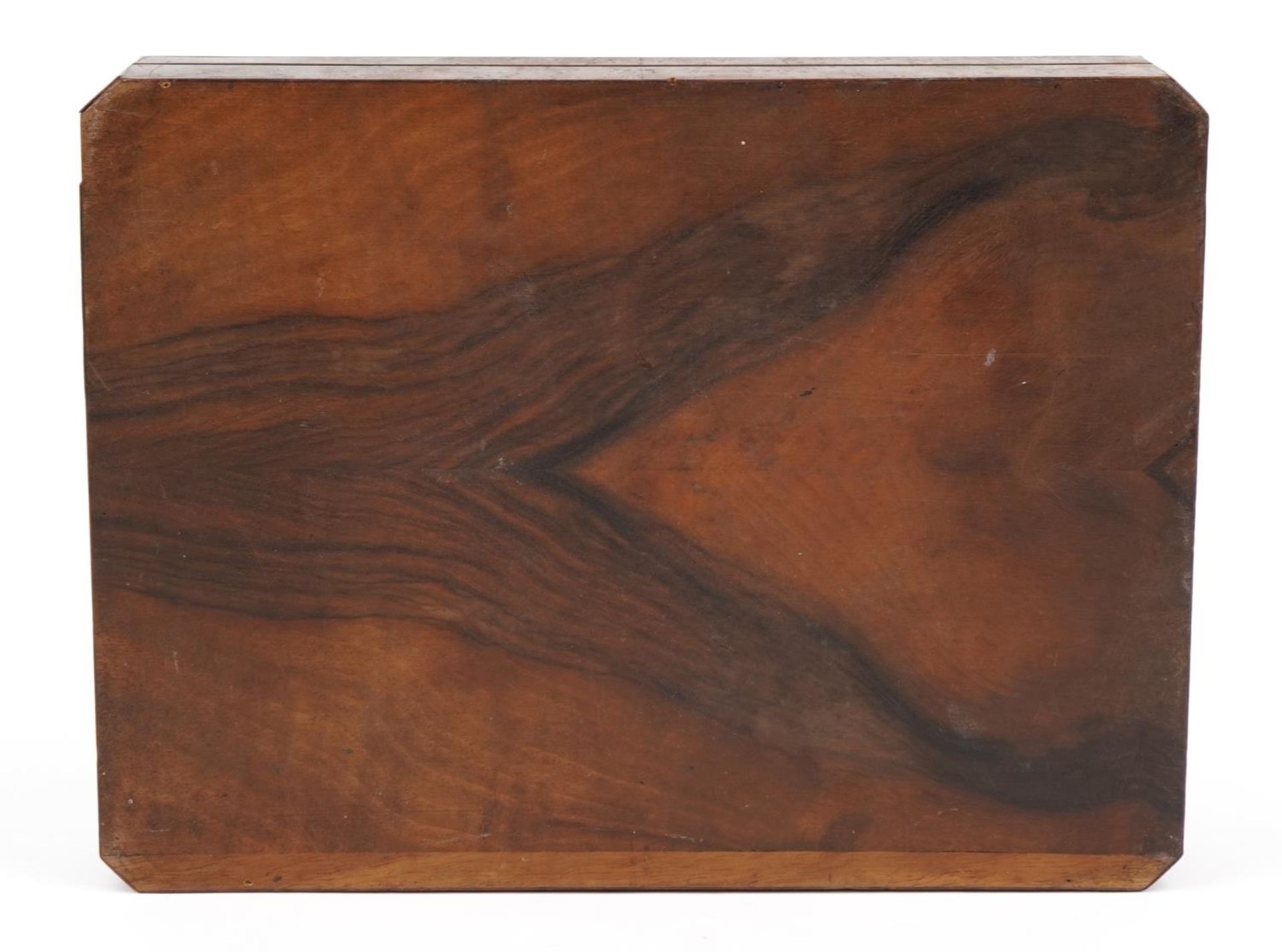 19th century French bird's eye maple and rosewood box with brass floral inlay and sectional - Bild 10 aus 10
