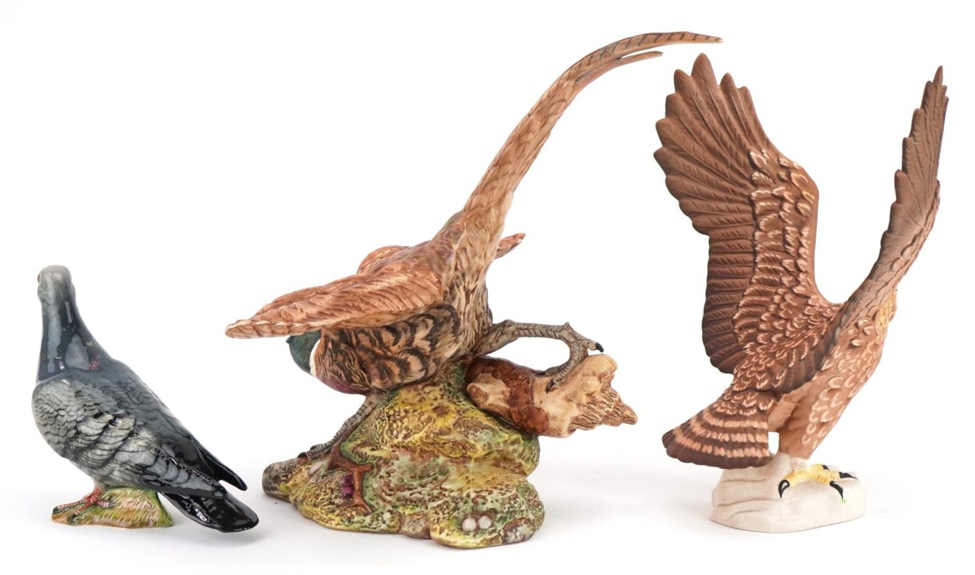 Three Beswick birds, two with matt glaze comprising pheasant, golden eagle and pigeon numbered 1383, - Bild 4 aus 8