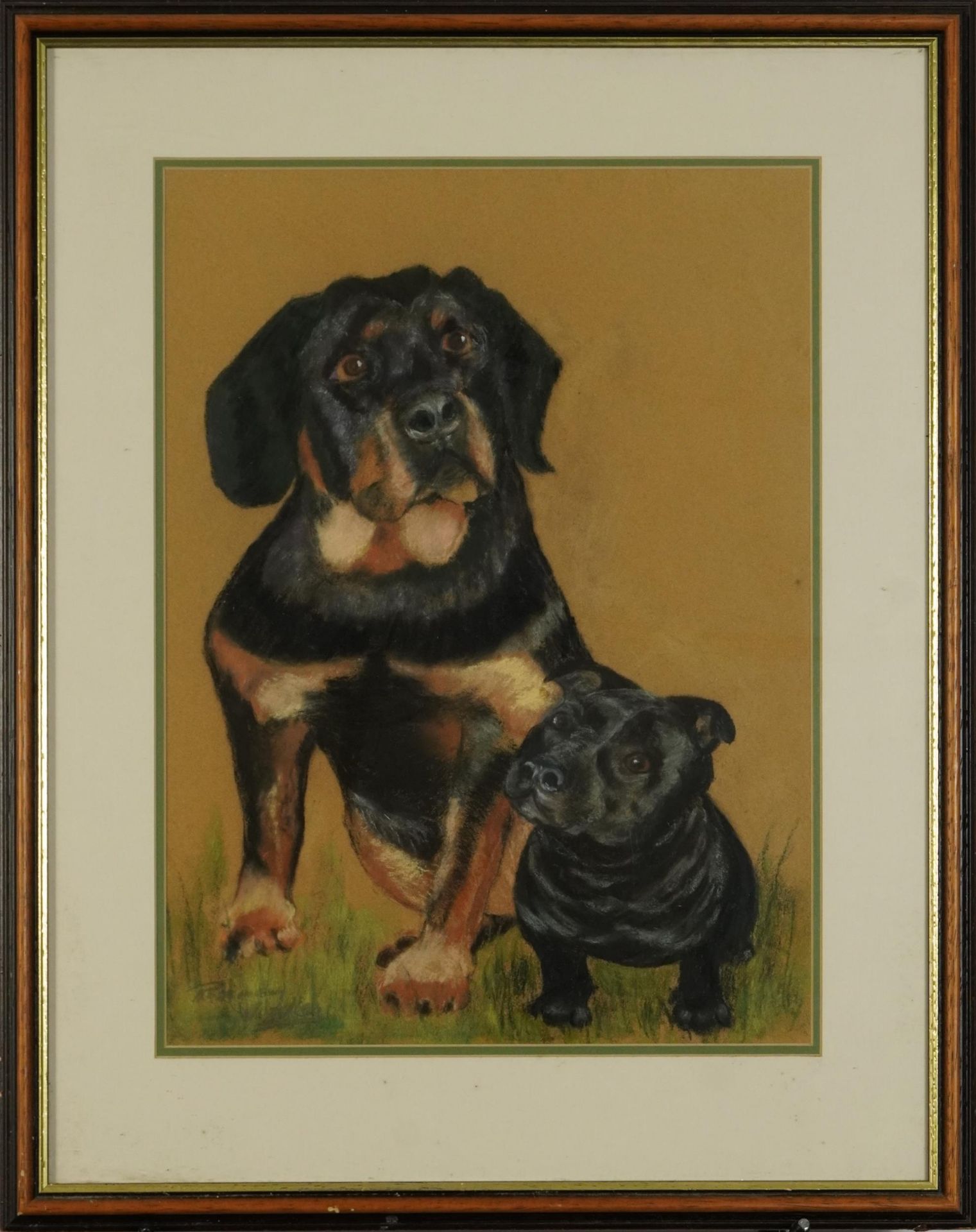 Study of two seated dogs, pastel, indistinctly signed, possibly Rosemary Woodley, mounted, framed - Bild 2 aus 4