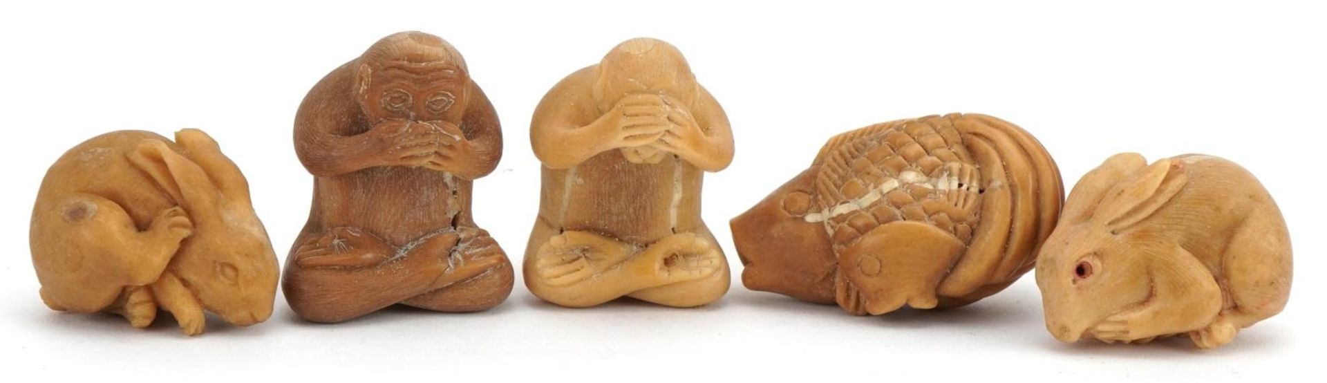 Five Japanese carved nut netsukes in the form of animals including monkeys, the largest 4cm wide