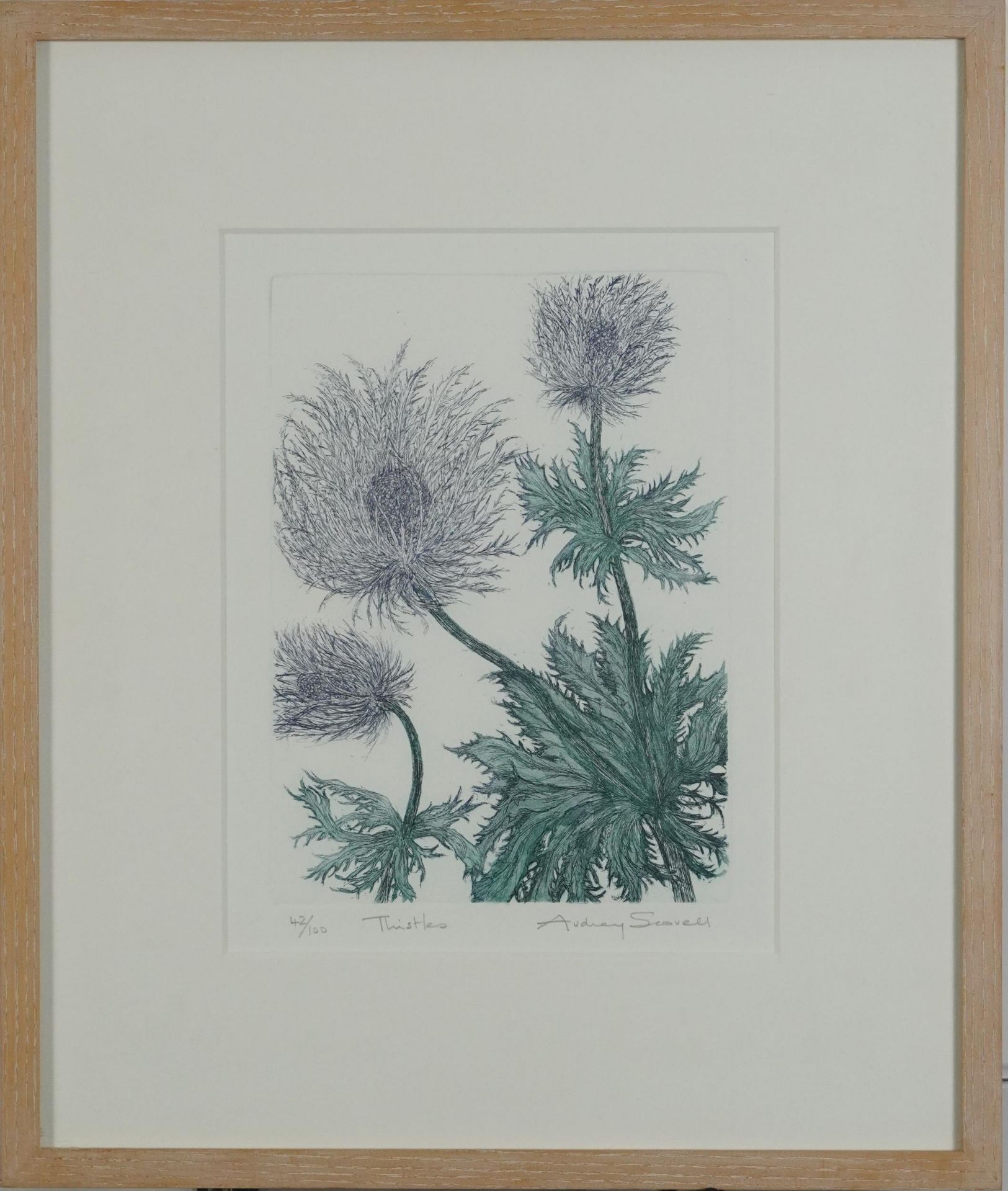 Audrey Scovell - Thistles and Protea, two prints in colour comprising one artist's proof and one - Image 14 of 18