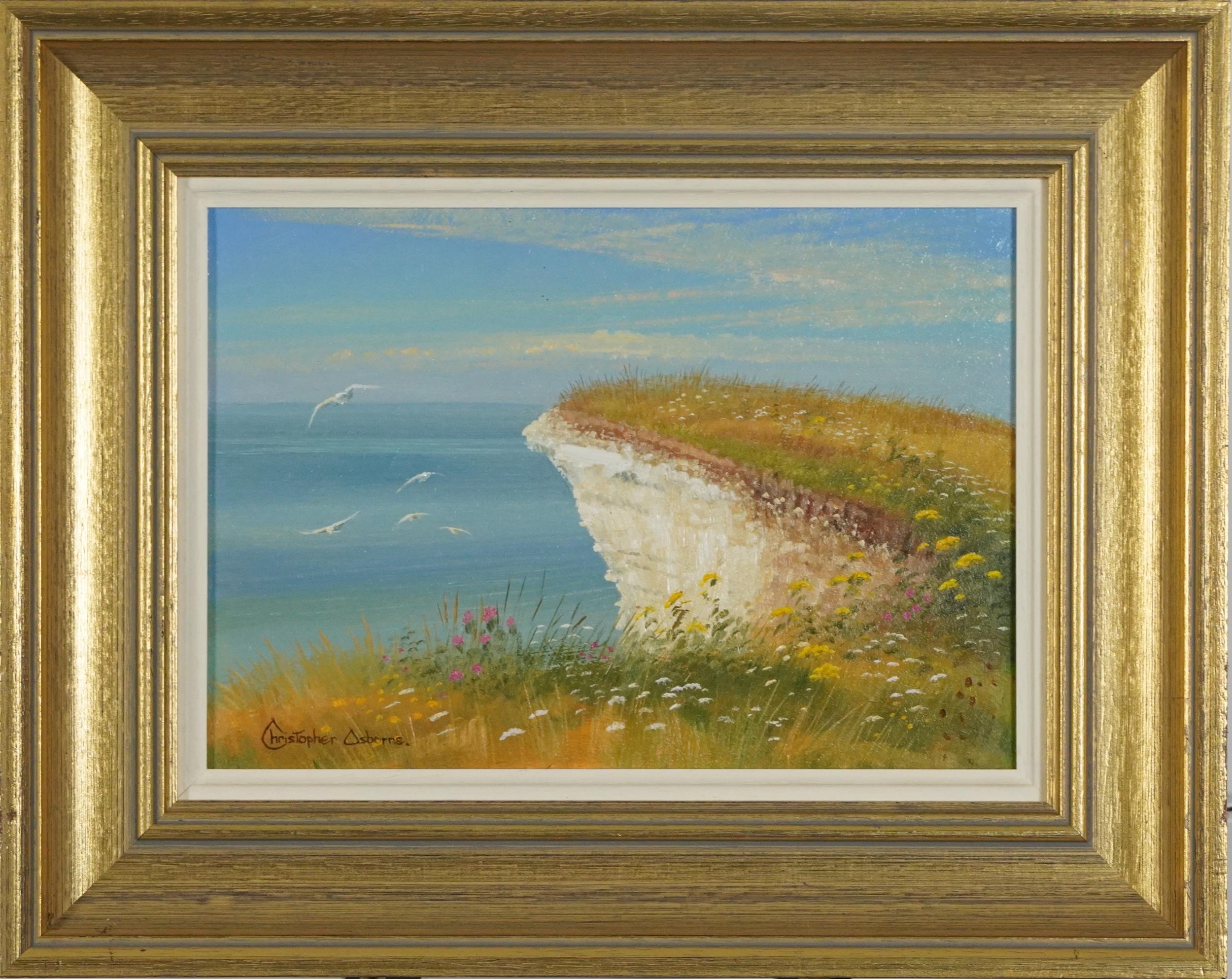 Christopher Osborne - White cliff edge, oil on board, details verso, mounted and framed, 25cm x 17cm - Image 2 of 5