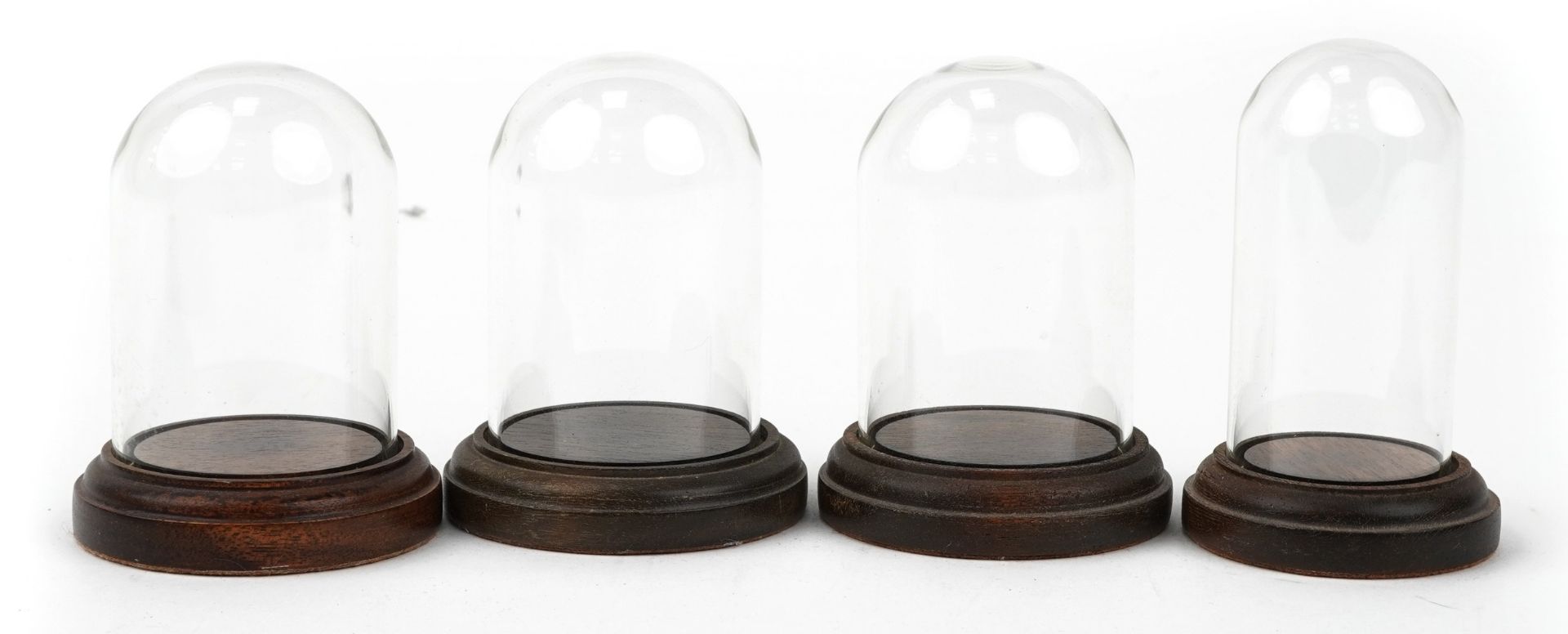 Four display glass domes with turned hardwood stands, the largest 11.5cm high : For further