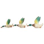 Graduated set of three Beswick style Mallard wall plaques, the largest 18.5cm in length : For
