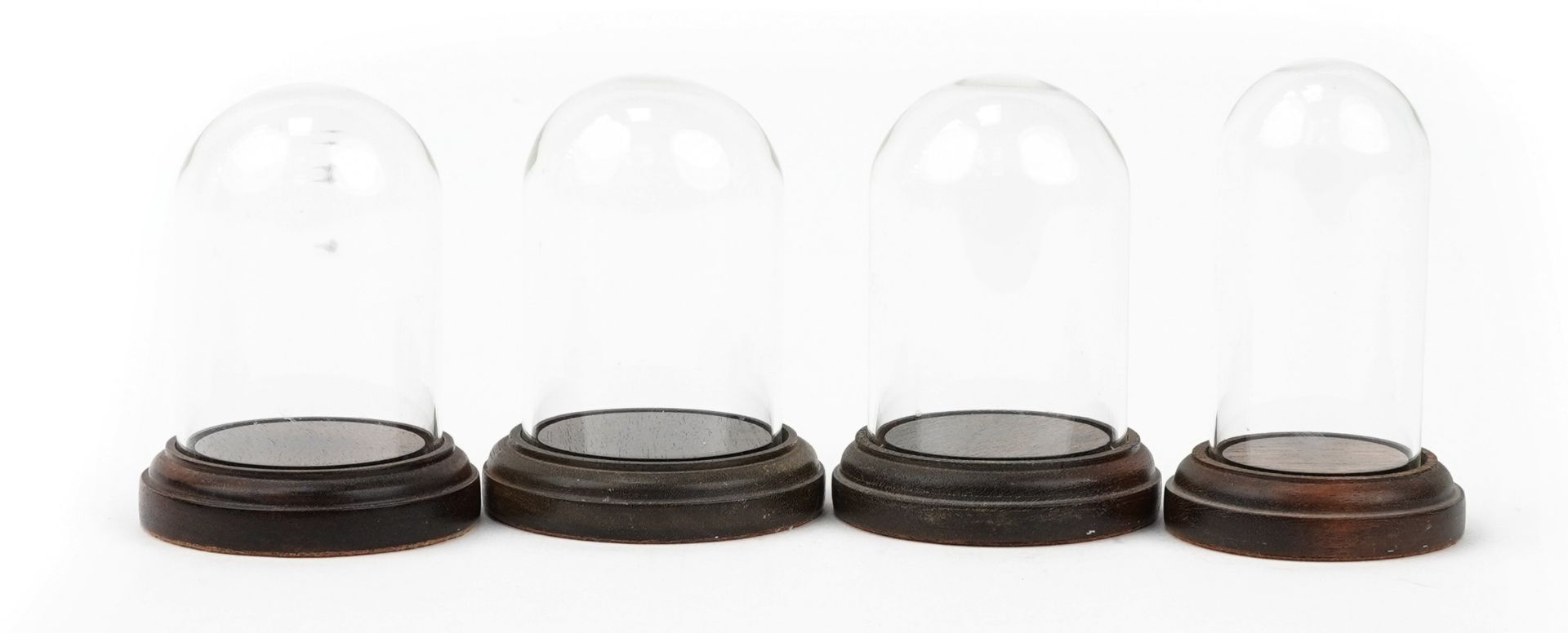 Four display glass domes with turned hardwood stands, the largest 11.5cm high : For further - Image 2 of 3