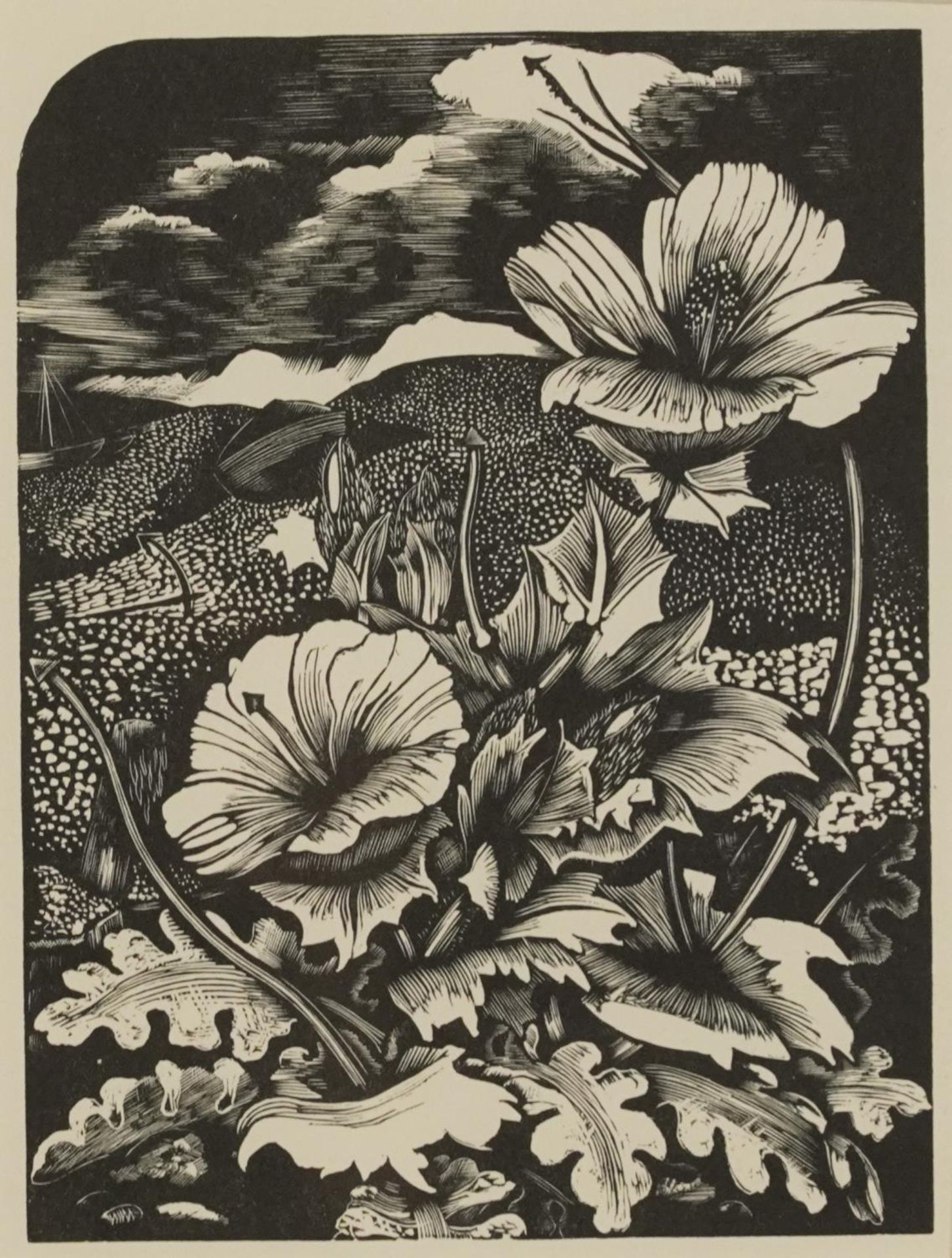 John Nash - Sea Poppy and still life flowers and fruit, two wood engravings, each with various - Image 6 of 9