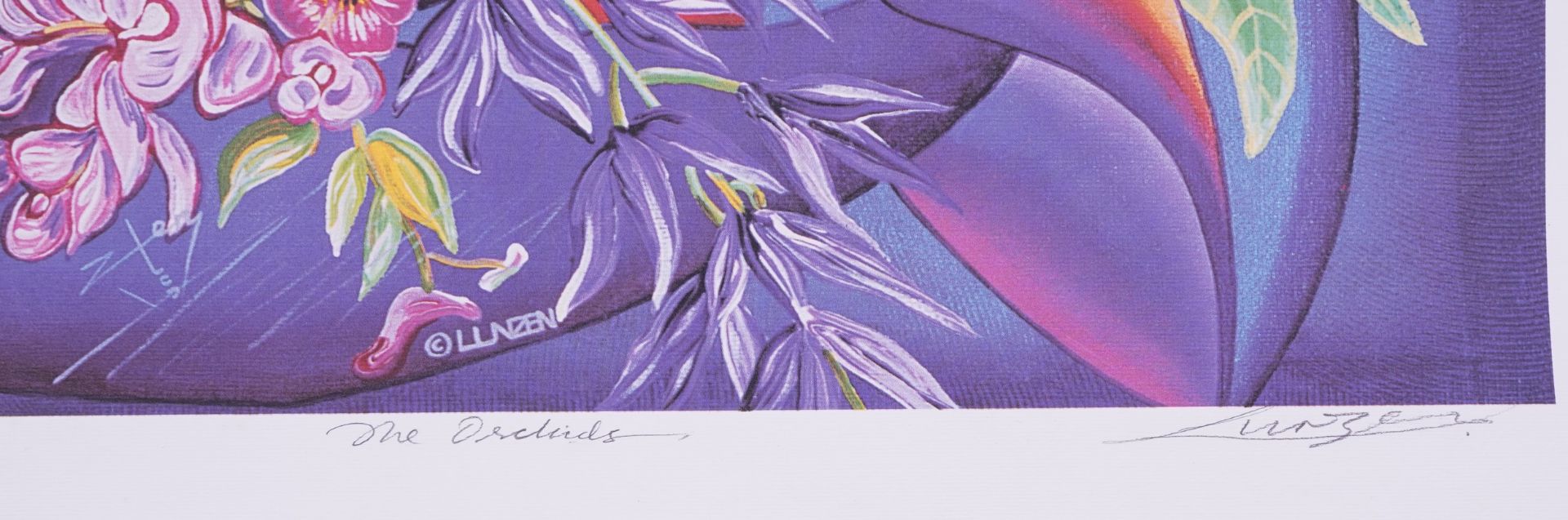 Lunzen - The Orchids, Magic Dreams, The Butterflies and Love Story, set of four pencil signed silk - Image 9 of 19