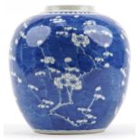 Unusually large Chinese blue and white porcelain ginger jar hand painted with prunus flowers, four