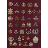 Military interest cap badges arranged in a glazed display including Argyll & Sutherland, Royal