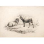Attributed to Thomas Sidney Cooper - Sheep in a landscape, 19th century charcoal on paper, unframed,