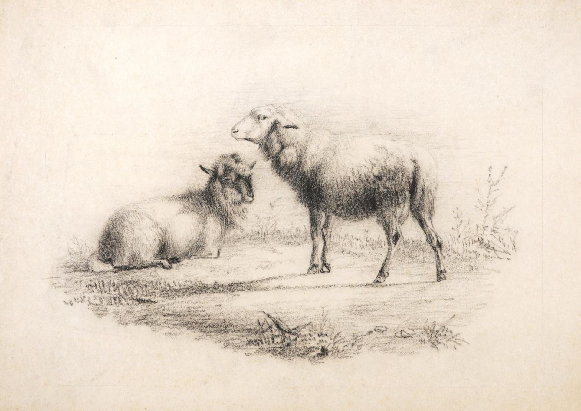 Attributed to Thomas Sidney Cooper - Sheep in a landscape, 19th century charcoal on paper, unframed,