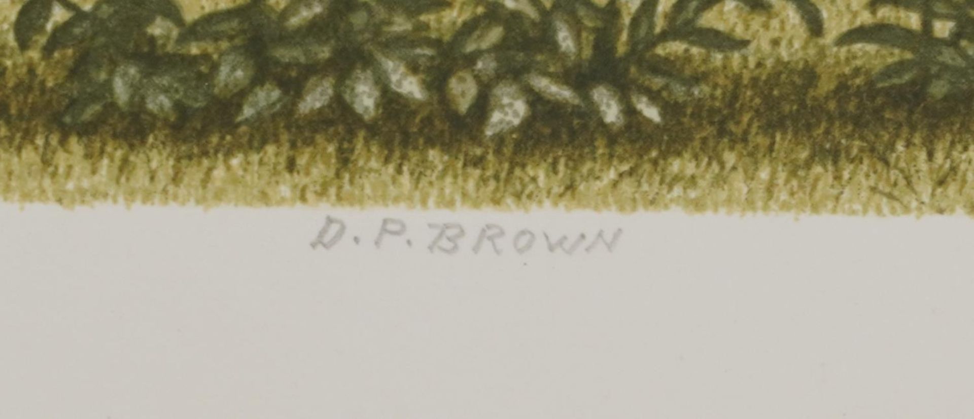 D P Brown - Rural landscape, pencil signed print in colour numbered 6/50, unframed, 74cm x 50. - Image 3 of 5