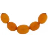 Butterscotch amber coloured graduated bead necklace, the largest bead approximately 28.5mm x 21mm,
