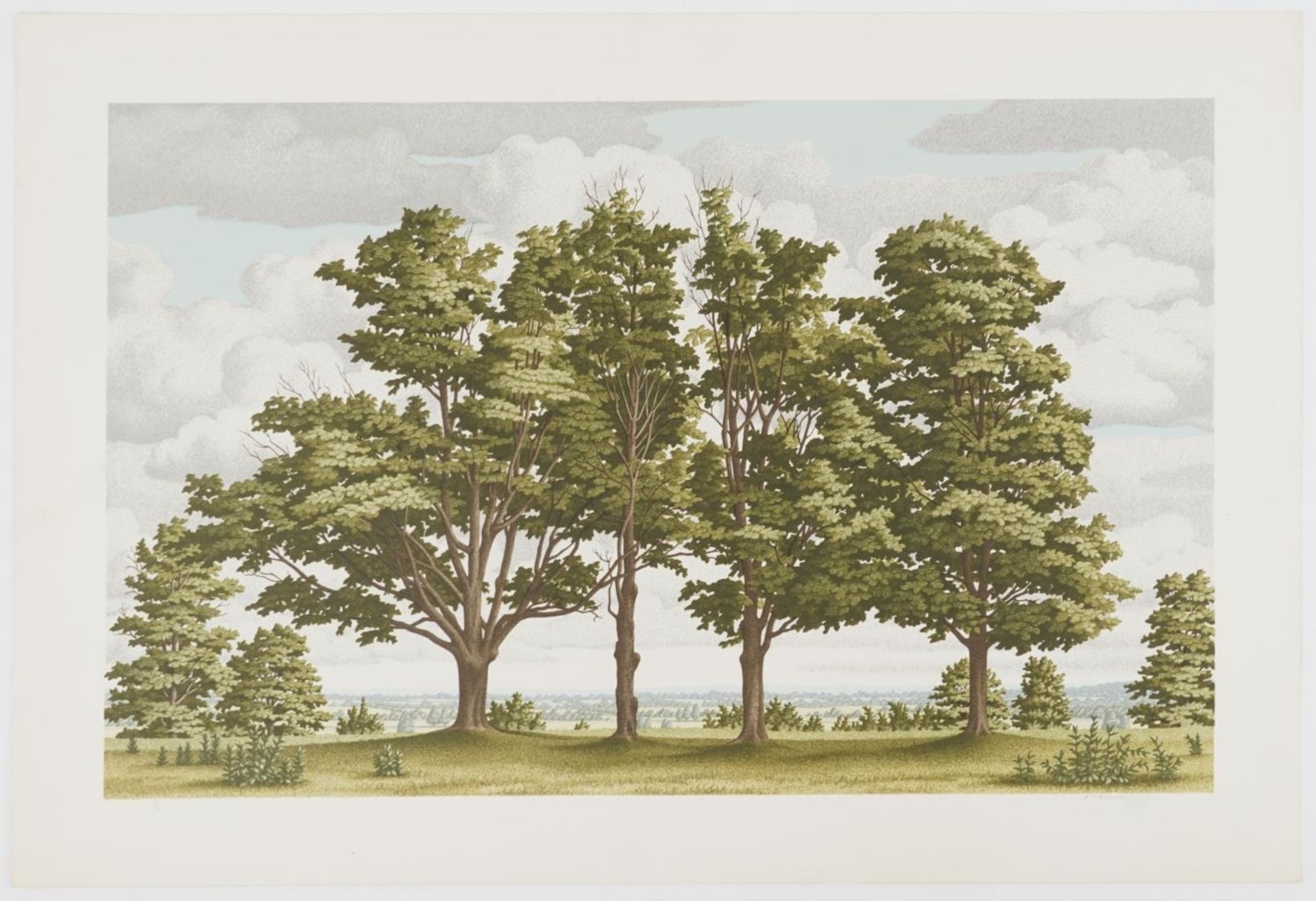 D P Brown - Rural landscape, pencil signed print in colour numbered 6/50, unframed, 74cm x 50. - Image 2 of 5