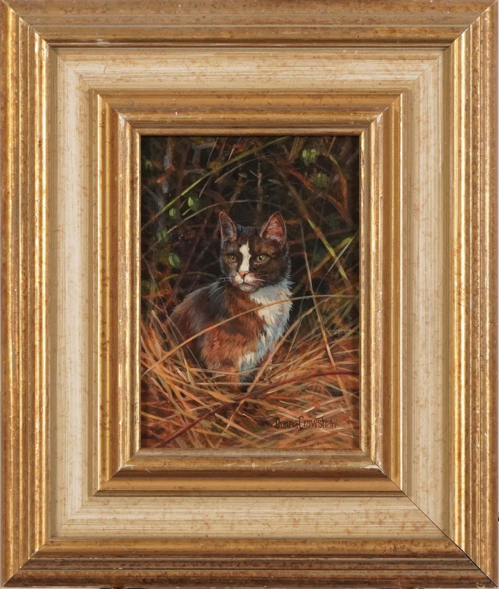 Donna Crawshaw - Cat in Hedge I, Modern British oil on board, O G Mell Galleries London label and - Image 2 of 5