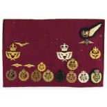 Military interest cap badges, shoulder titles and cloth badges arranged on a sheet, predominantly