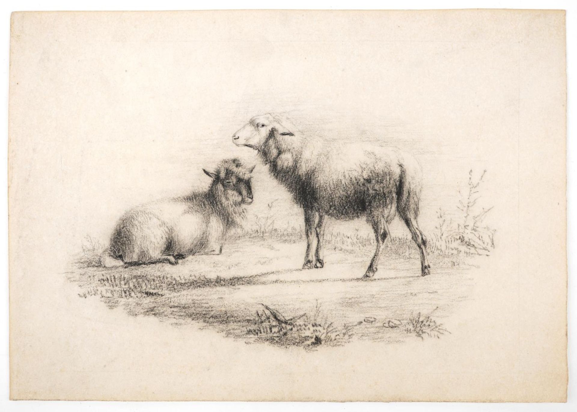 Attributed to Thomas Sidney Cooper - Sheep in a landscape, 19th century charcoal on paper, unframed, - Image 2 of 3