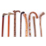 Eight vintage wooden walking sticks, two with brass dog's head and horse head handles and one with