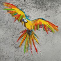 Parrot in flight, mixed media and photographic print, framed and glazed, 58.5cm x 58.5cm excluding