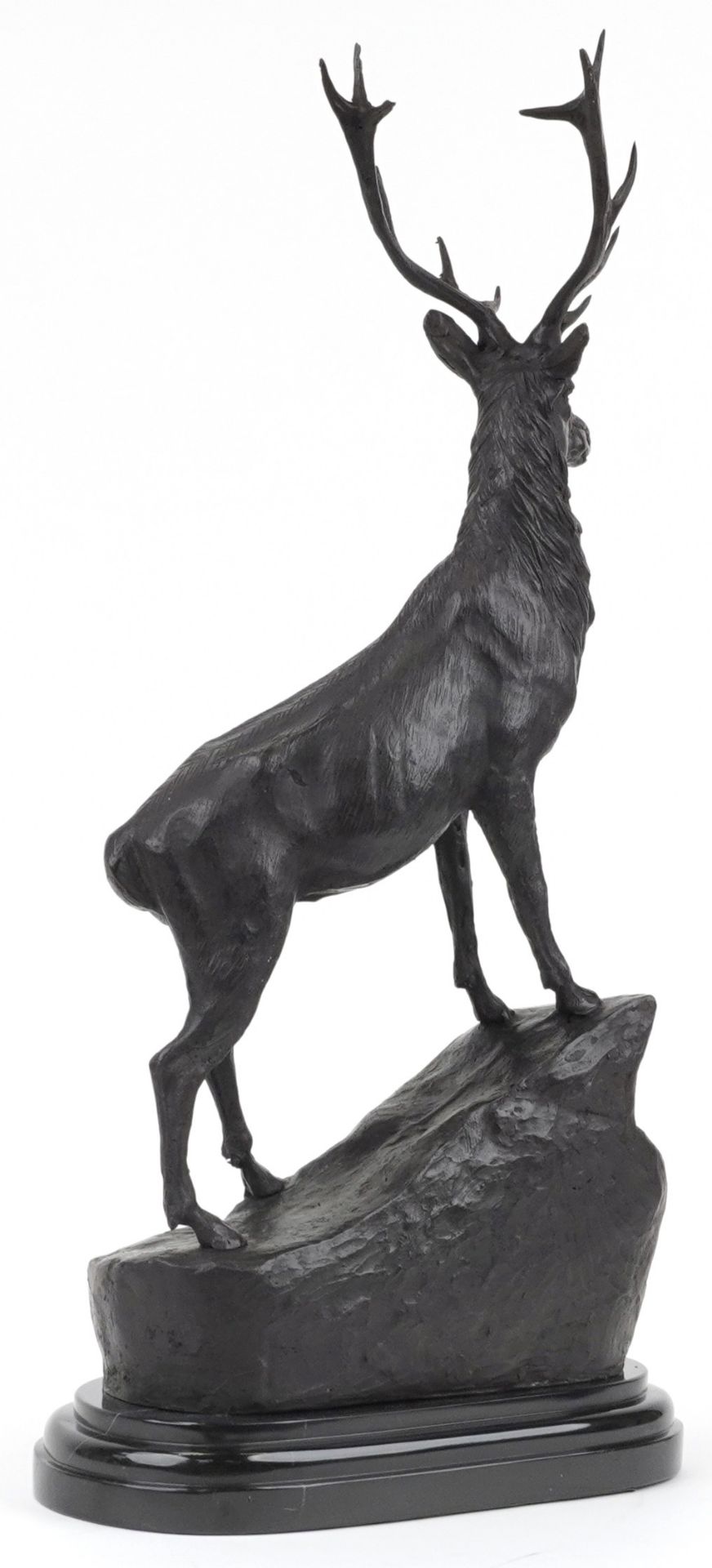 After Joules Moigniez, large patinated bronze stag raised on oval marble base, 74cm high : For - Image 3 of 4