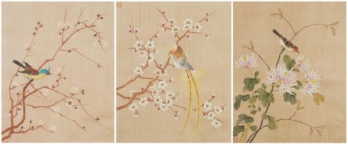 Birds amongst peony blossom and chrysanthemums, set of three Chinese watercolours on silk with red