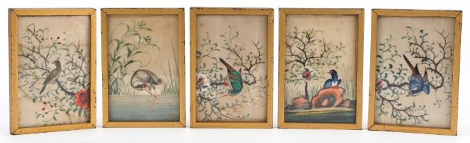 Birds of paradise and crane, five Chinese watercolour paintings, each framed and glazed, each 10.7cm